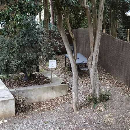 Au Vieux Lavoir Avec Parking Prive, Jardin , Climatisation, A 500 M De La Cite การ์กาซอน ภายนอก รูปภาพ