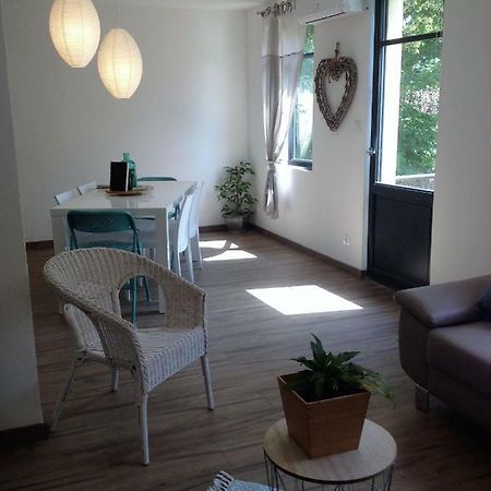 Au Vieux Lavoir Avec Parking Prive, Jardin , Climatisation, A 500 M De La Cite การ์กาซอน ภายนอก รูปภาพ