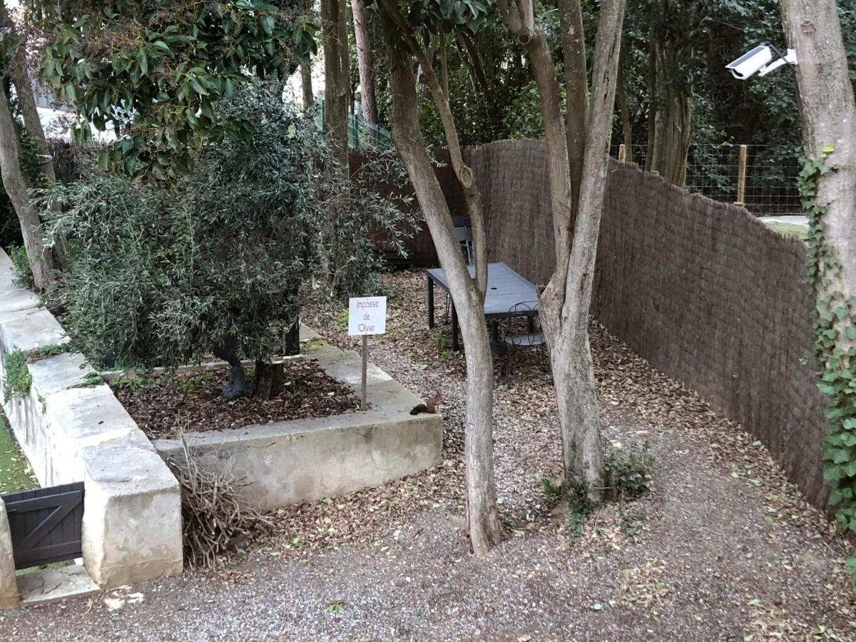 Au Vieux Lavoir Avec Parking Prive, Jardin , Climatisation, A 500 M De La Cite การ์กาซอน ภายนอก รูปภาพ