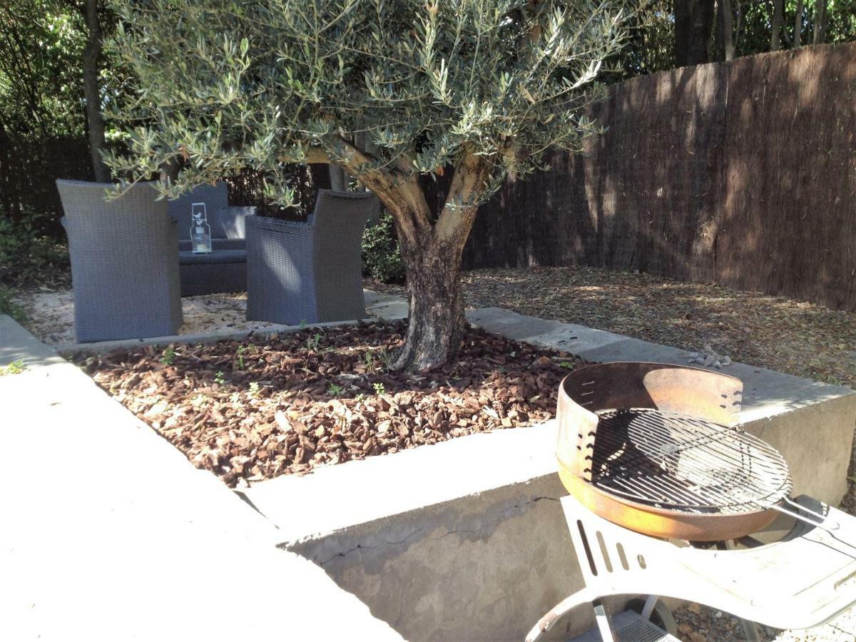 Au Vieux Lavoir Avec Parking Prive, Jardin , Climatisation, A 500 M De La Cite การ์กาซอน ภายนอก รูปภาพ